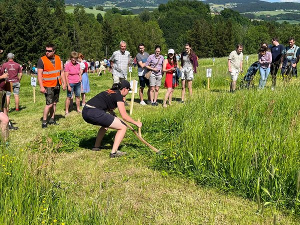 Bezirkssensenmähen Bezirk UU
